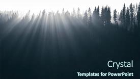  Presentation with forest morning - Presentation design consisting of magical-forest-with-morning-sun background and a wine colored foreground