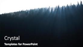  Presentation with forest morning - Presentation design having magical-forest-with-morning-sun background and a black colored foreground