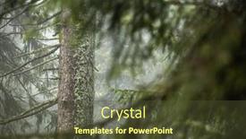  Presentation with forest morning - Theme featuring magical-forest-with-morning-sun background and a tawny brown colored foreground