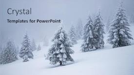  Presentation with magical - 