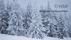  Presentation with magical - 