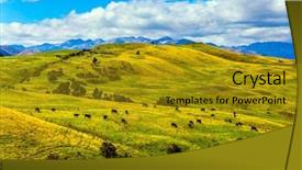  Presentation with green lake - Audience pleasing slide deck consisting of herding - large herd of cows grazes backdrop and a gold colored foreground