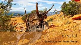  Presentation with magical - Presentation theme with magical-landscapes-of-the-west background and a gold colored foreground