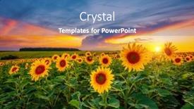  Presentation with earth land - Presentation theme consisting of magical-scene-of-exotic-yellow background and a teal colored foreground