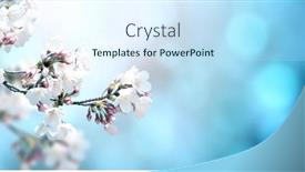  Presentation with light blue color - PPT layouts enhanced with magical-scene-with-sakura-flowers background and a sky blue colored foreground