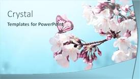 Presentation with light blue color - Amazing PPT theme having magical-scene-with-sakura-flowers backdrop and a cool aqua colored foreground
