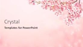  Presentation with magical - Colorful PPT layouts enhanced with magical-scene-with-sakura-flowers backdrop and a pink colored foreground