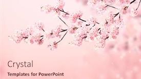  Presentation with light pink - PPT theme enhanced with magical-scene-with-sakura-flowers background and a lemonade colored foreground
