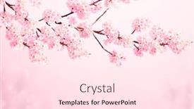  Presentation with beautiful spring flowers - Beautiful slide set featuring magical-scene-with-sakura-flowers backdrop and a pink colored foreground