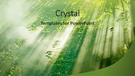  Presentation with enchanted forest - Theme featuring magical sunlight in misty forest background and a mint green colored foreground