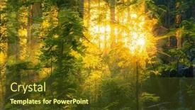  Presentation with woodland - PPT theme with magical-sunset-in-the-forest background and a tawny brown colored foreground