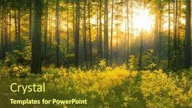  Presentation with woodland - PPT theme having magical-sunset-in-the-forest background and a tawny brown colored foreground