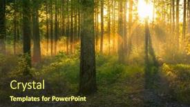  Presentation with magical - Theme having magical-sunset-in-the-forest background and a tawny brown colored foreground