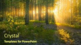  Presentation with magic sunset rays - Presentation featuring magical-sunset-in-the-forest background and a tawny brown colored foreground