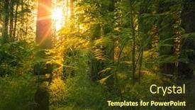  Presentation with woodland - Presentation consisting of magical-sunset-in-the-forest background and a tawny brown colored foreground