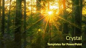  Presentation with woodland - Presentation theme enhanced with magical-sunset-in-the-forest background and a tawny brown colored foreground