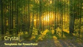  Presentation with woodland - Presentation enhanced with magical-sunset-in-the-forest background and a tawny brown colored foreground