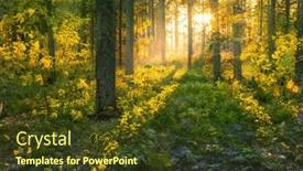  Presentation with woodland - PPT theme consisting of magical-sunset-in-the-forest background and a tawny brown colored foreground