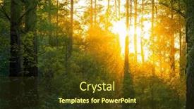 Presentation with woodland - Slides featuring magical-sunset-in-the-forest background and a tawny brown colored foreground