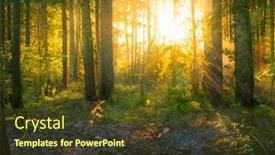  Presentation with woodland - Theme enhanced with magical-sunset-in-the-forest background and a tawny brown colored foreground