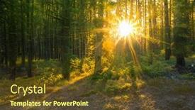  Presentation with woodland - PPT theme having magical-sunset-in-the-forest background and a tawny brown colored foreground