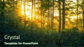  Presentation with woodland - Slide set enhanced with magical-sunset-in-the-forest background and a wine colored foreground