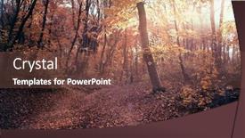  Presentation with gratitude - Amazing presentation design having magical-view-of-beautiful-sunny backdrop and a tawny brown colored foreground