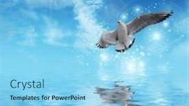  Presentation with water sun - Colorful theme enhanced with magical white bird flying to sun above blue water in beautiful day backdrop and a arctic colored foreground