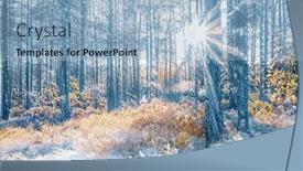  Presentation with winter forest - Presentation theme enhanced with magical-winter-sunset-in-frozen background and a  colored foreground