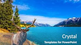  Presentation with brave - Slides having  background and a  colored foreground