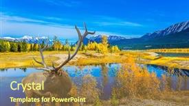  Presentation with brave - PPT theme featuring  background and a  colored foreground