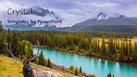  Presentation with cold water - Colorful PPT theme enhanced with magnificent deer with large horns is resting on the shore the mountain lake with azure cold water cloudy fall day in the canadian rockies sunset concept of active eco and photo tourism backdrop and a light blue colored foreground