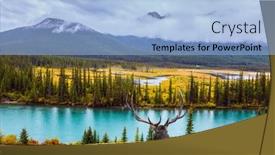  Presentation with fall lake - Presentation design with magnificent deer with large horns is resting on the shore cloudy fall day in the canadian rockies the mountain lake with azure cold water sunset concept of active eco and photo tourism background and a light blue colored foreground