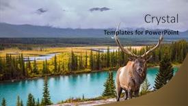  Presentation with fall lake - Colorful presentation theme enhanced with magnificent-deer-with-large-horns backdrop and a light blue colored foreground
