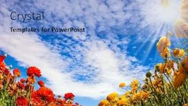  Presentation with botanical garden - Amazing slide set having magnificent-flower-carpet-of-garden backdrop and a light blue colored foreground