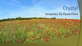  Presentation with israel - Presentation consisting of magnificent-flower-carpets-of-blooming background and a light blue colored foreground