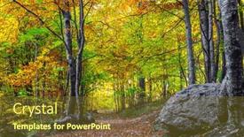  Presentation with golden yellow - Slide set consisting of magnificent-golden-autumn background and a tawny brown colored foreground