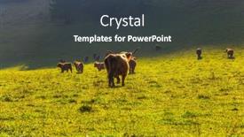  Presentation with green mountains - Theme with magnificent-golden-autumn background and a tawny brown colored foreground