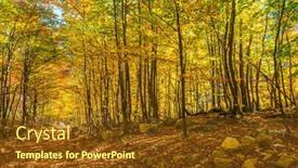  Presentation with pedestrian - PPT theme consisting of magnificent-golden-autumn background and a tawny brown colored foreground