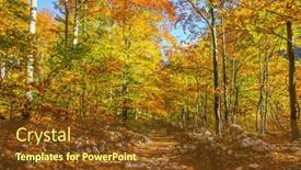  Presentation with pedestrian - Audience pleasing presentation consisting of magnificent-golden-autumn backdrop and a tawny brown colored foreground