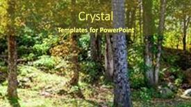  Presentation with eco park - Presentation theme having magnificent-gray-wolf-is-resting background and a tawny brown colored foreground