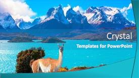  Presentation with hair - Cool new presentation with magnificent-guanaco-with-thick-hair backdrop and a teal colored foreground