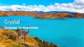  Presentation with brown - PPT theme having magnificent-guanaco-with-thick-reddish background and a teal colored foreground