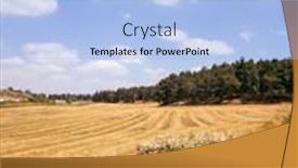  Presentation with spring nature grass - PPT theme with magnificent-nature-of-southern-israel background and a light blue colored foreground