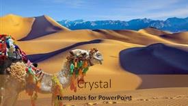  Presentation with camel - Colorful presentation theme enhanced with magnificent-one-humped-camel-dromedar backdrop and a gold colored foreground