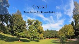  Presentation with summer trees - Presentation theme featuring magnificent park in northern italy in wonderful summer day the charming green grassy lawn is surrounded with coniferous trees and blossoming bushes background and a light blue colored foreground