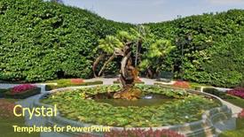  Presentation with beds - PPT theme having mans arm with kinesio tape on it note soft focus at 100 best at smaller sizes background and a light blue colored foreground