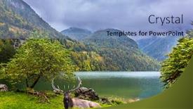  Presentation with mountain lake - Slides having magnificent-red-deer-with-branching background and a light blue colored foreground