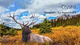  Presentation with rocky shore - Amazing slide deck having magnificent-rocky-mountains-the-multicolor backdrop and a light blue colored foreground