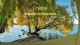  Presentation with srping tree - Presentation consisting of magnificent-sprawling-tree background and a tawny brown colored foreground